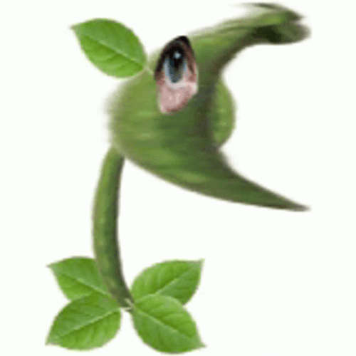 Pvz Face Plants GIF