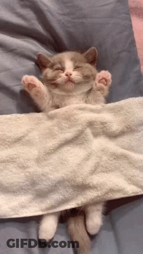 Pyoonaat You Da Best GIF