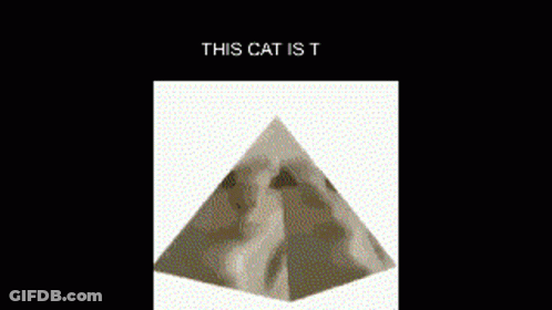 Pyramid Saying This Cat Is T GIF