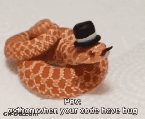 Python Chilling With Hat Tongue Out GIF