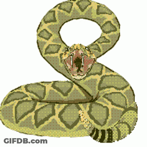 Python Open Mouth Shaking Tails GIF