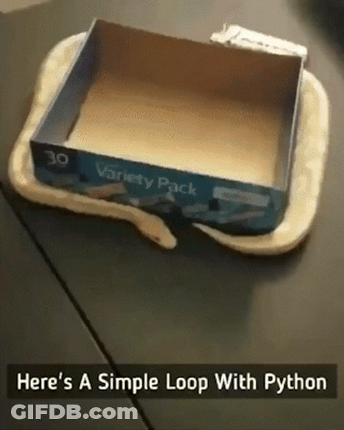 Python Simple Loop On Box GIF