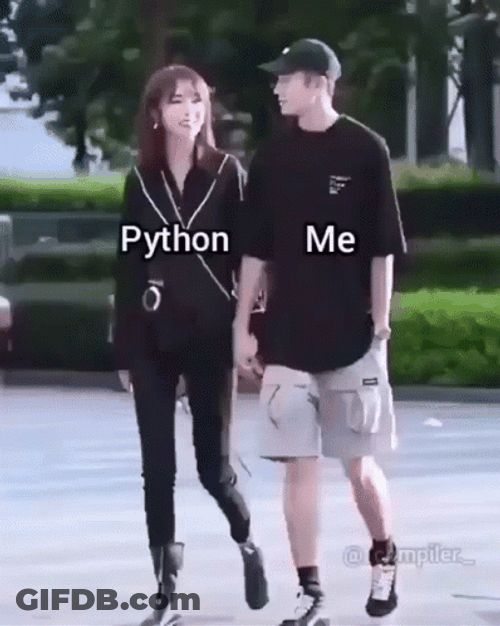Python Washed Out Java GIF