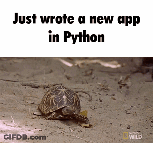 Python Wrote New App Slow GIF