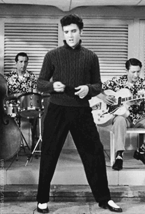 Qanon Elvis GIF