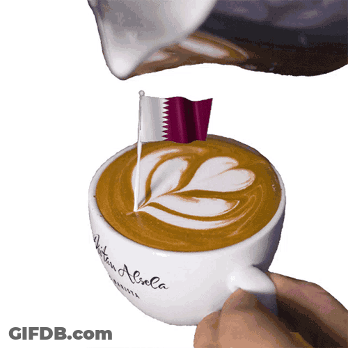 Qatar State Of Qatar GIF