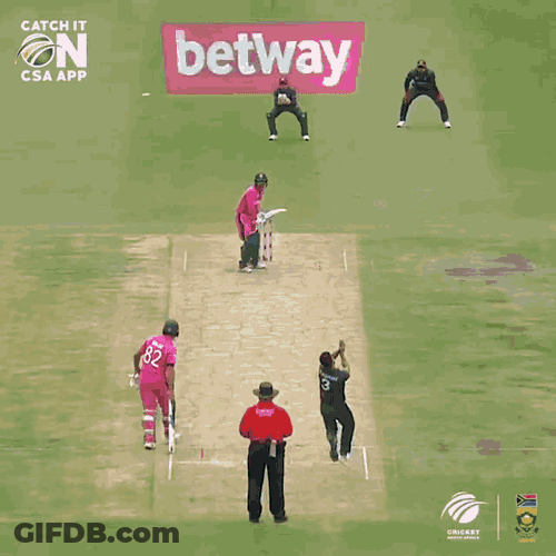 Qdk Quinton De Kock GIF