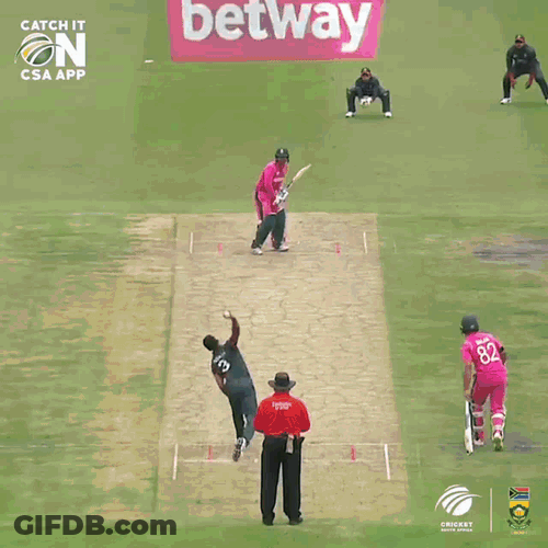 Qdk Quinton De Kock GIF