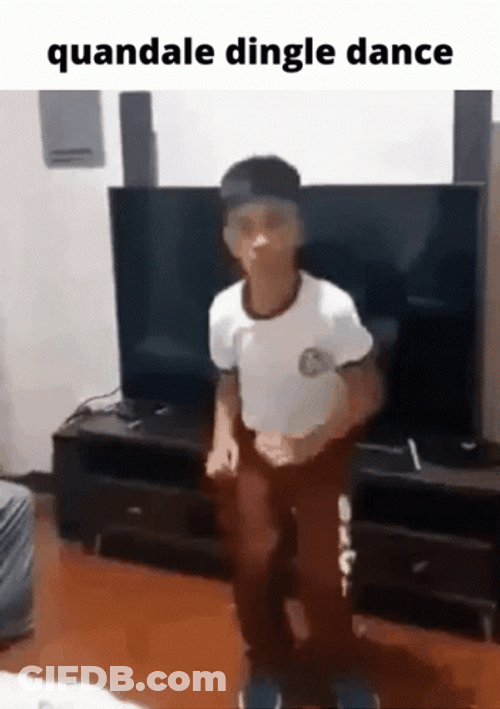 Quandale Dingle GIF
