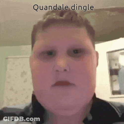 Quandale Dingle GIF