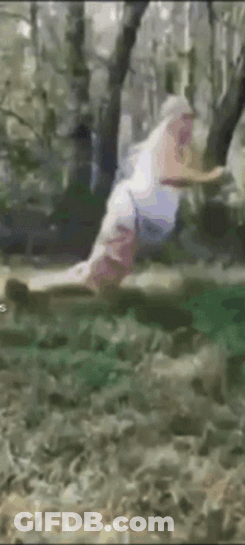 Quandale Dingle GIF