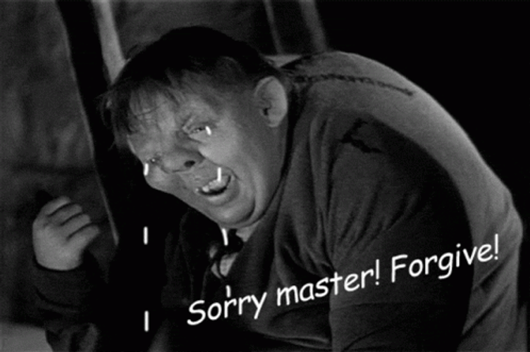 Quasimodo Sorry Yes Master GIF