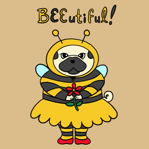 Queen Beautiful Bee GIF