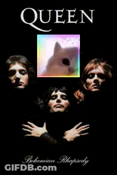 Queen Bohemian Rhapsody Poster With Cat GIF
