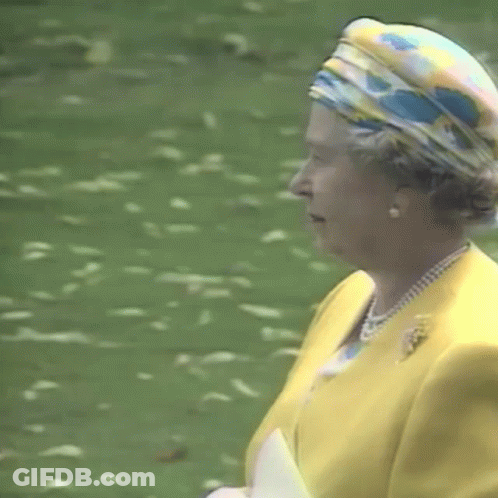 Queen In Yellow Jacket And Turban GIF