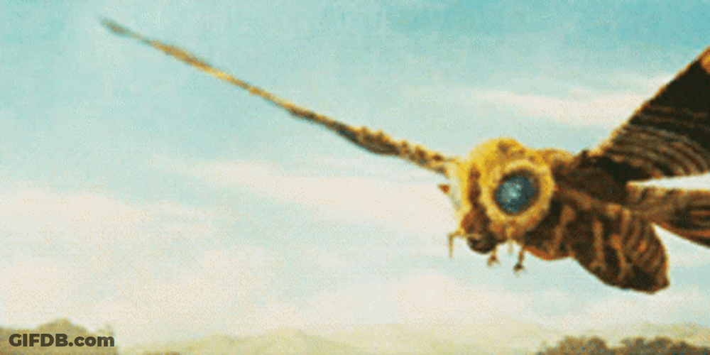 Queen Mothra Godzilla GIF