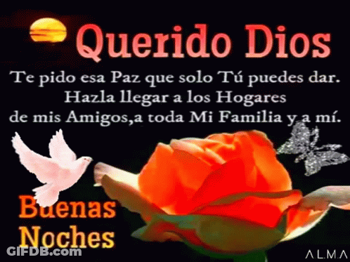 Querido Dios Te Pido Esa Paz Que Solo Tu Puedes Dar Hazla Llegar A Los Hogares GIF