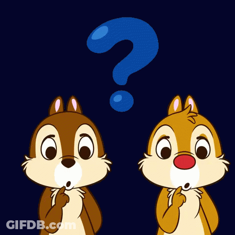 Question Confused Chipmunks Cartoon GIF