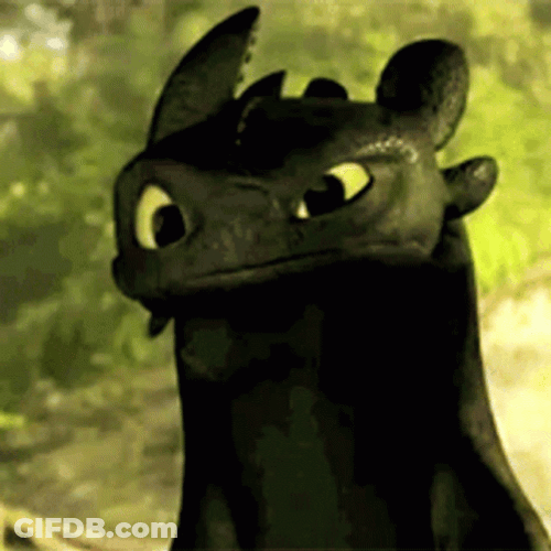 Questioning Look Of Toothless Meme GIF