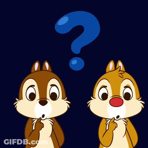 Questions Curious Two Chipmunks GIF