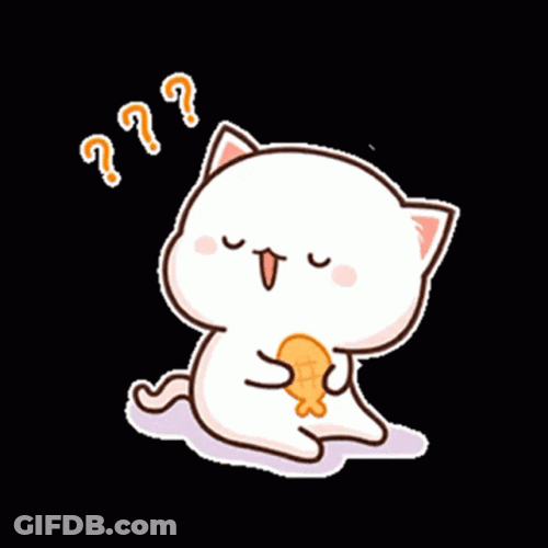 Questions Peach Cat Eating Fish GIF