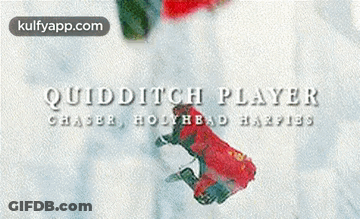 Quidditch Player Chaser Bodyhead Harpies GIF