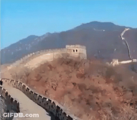 Quinta Brunson Milly Rock Dancing On Great Wall GIF