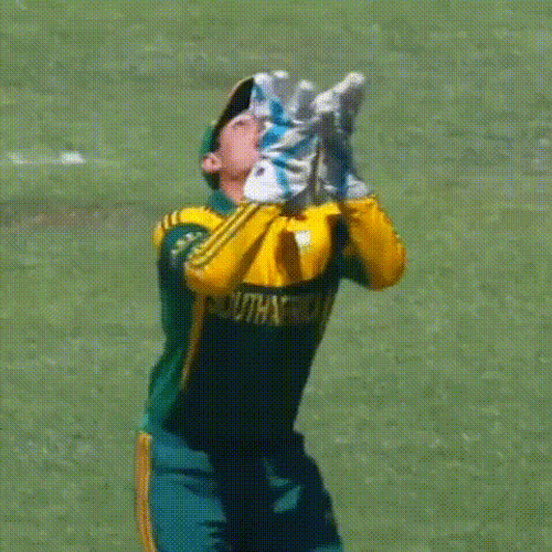 Quinton De Kock And Steyn GIF