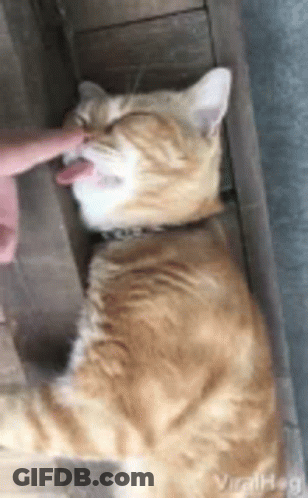 Qwert Aaaaa GIF