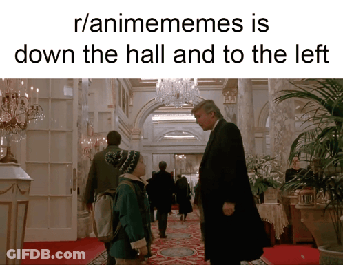 R/Animememes Donald Trump Down The Hall GIF