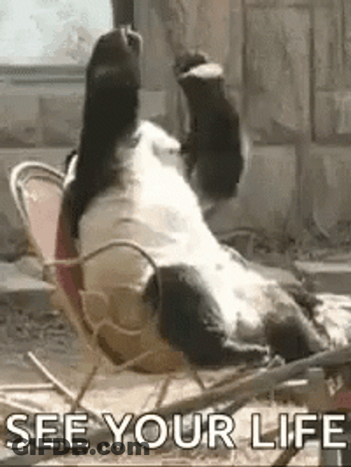 R Kelly Fighting For My Life Oh God GIF
