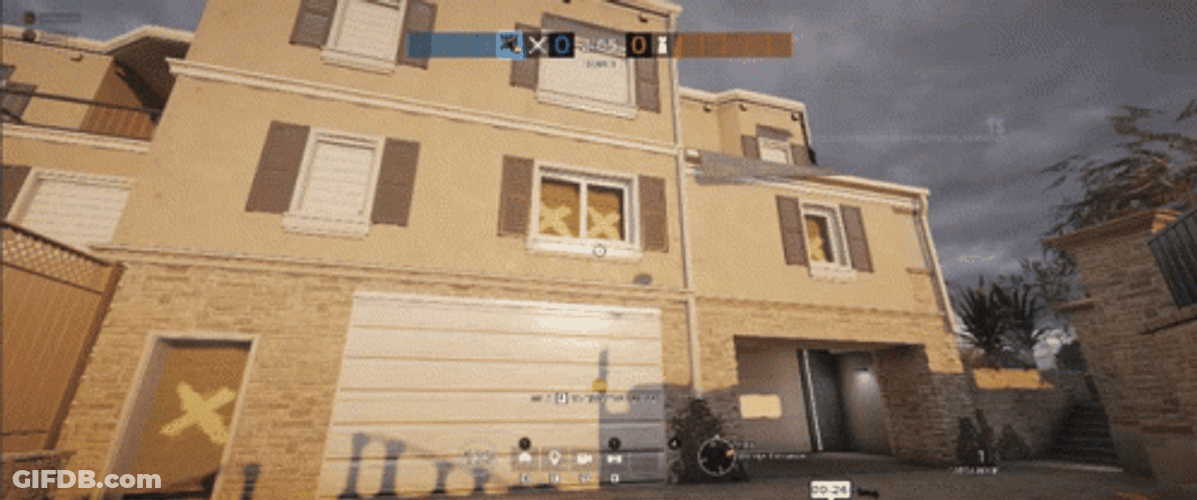 R6 Climbing On Window GIF