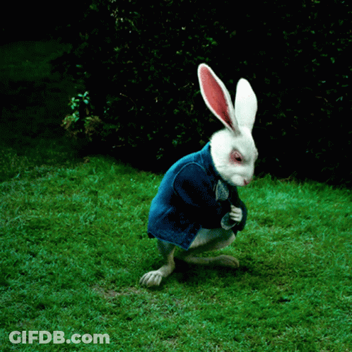 Rabbit Alice In Wonderland GIF