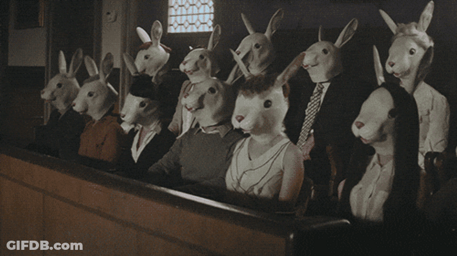 Rabbit Audience Dislike Gesture GIF