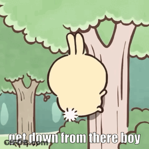 Rabbit Climbing Tree Saying Get Down From There Boy GIF
