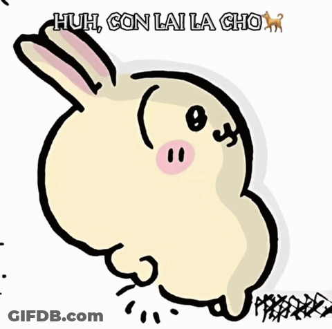 Rabbit Co Khi Lai Can No GIF