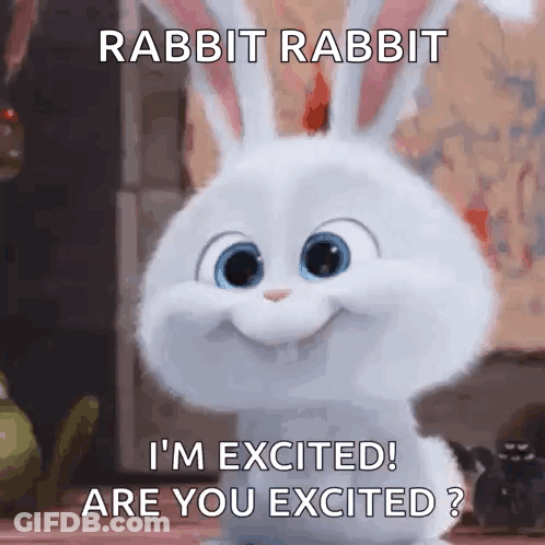 Rabbit From Secret Life Of Pets Excited GIF