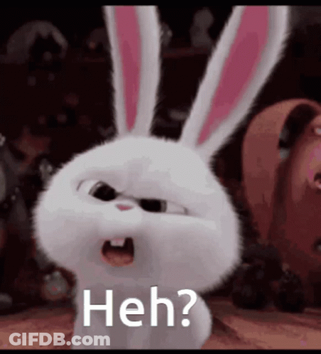 Rabbit From Secret Life Of Pets Making Funny Face GIF