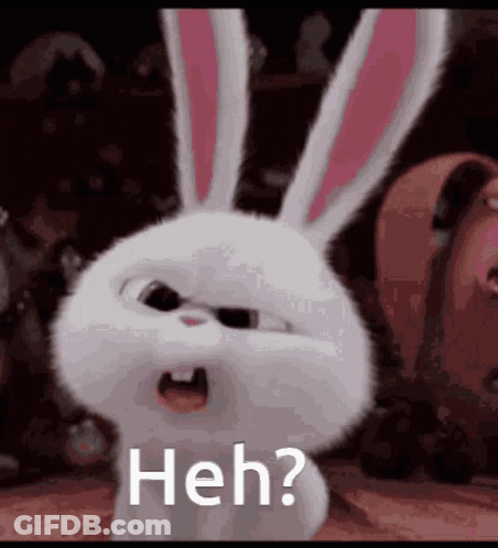 Rabbit From Secret Life Of Pets Making Funny Face GIF