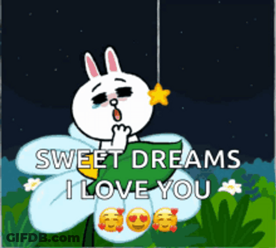 Rabbit Good Night I Love You Sweet Dreams GIF