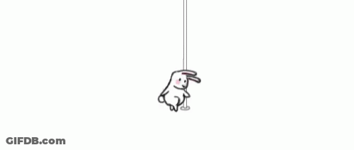 Rabbit Hanging From Rope GIF