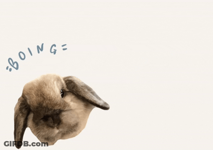 Rabbit Head Boing Left To Right GIF