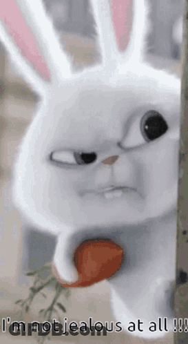 Rabbit Holding Carrot Says I'm Not Jealous GIF