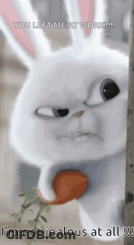 Rabbit Holding Carrot You Left Me At Work I'm Not Jealous GIF