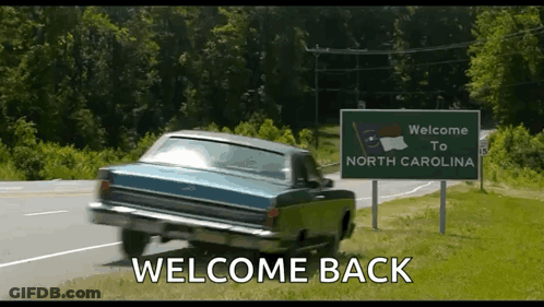 Rabbit Holding Stop Sign GIF