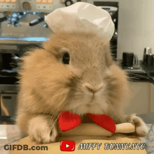 Rabbit In Chef Hat Holding Dough GIF