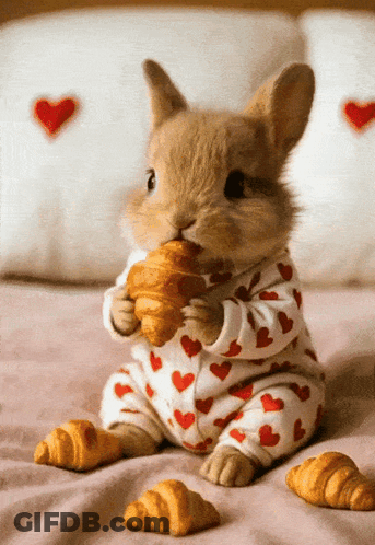 Rabbit In Pajamas Eating Croissant GIF