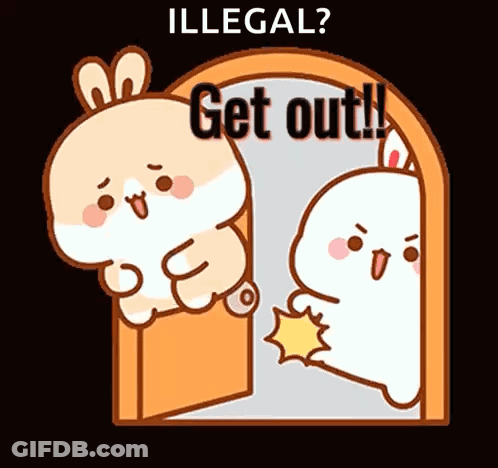 Rabbit Knocking On Door Saying Illegal Get Out GIF