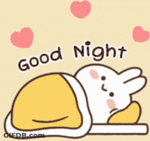 Rabbit Laying Down Good Night GIF