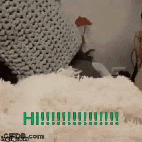 Rabbit Laying On Blanket Saying Hi GIF